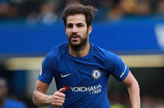 soccer player cesc fabregas